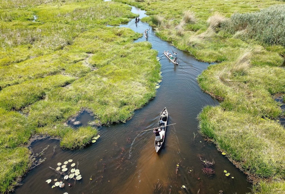 Via Maun ins Okavango Delta